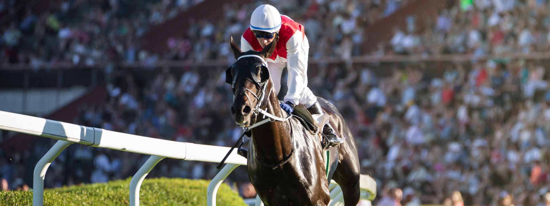 Royal Ascot - Horse Racing