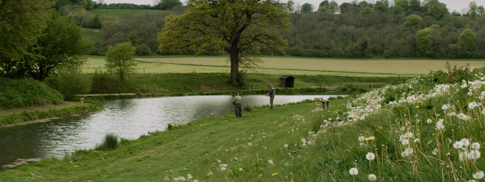 Fly Fishing